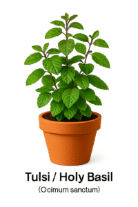 Copilot 20250825 215043